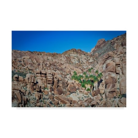 Trademark Fine Art Janice Sullivan 'Desert Oasis Canyon' Canvas Art, 22x32 ALI36536-C2232GG